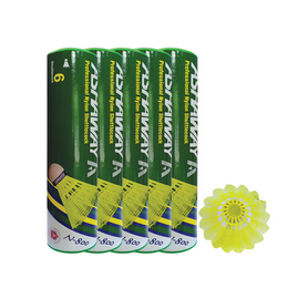 ASHAWAY SHUTTLECOCK N-800 NYLON BADMINTON (PACK OF 5)