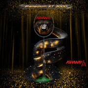 ASHAWAY RACQUET PALLADIUM XT 3000